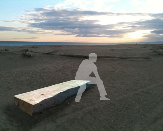 Driftwood benches