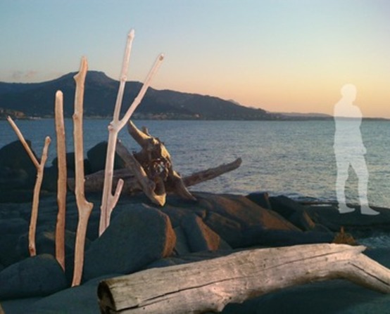 Driftwood branch