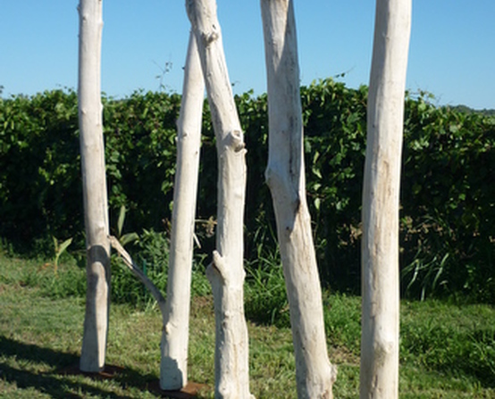 Tronc de Bois & Branches