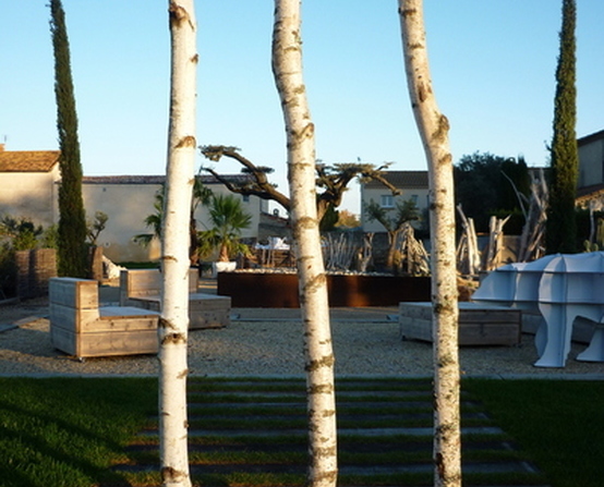 Rental birch trunk on plinth