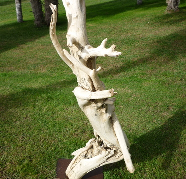 Décorer une entreprise avec des objets en bois