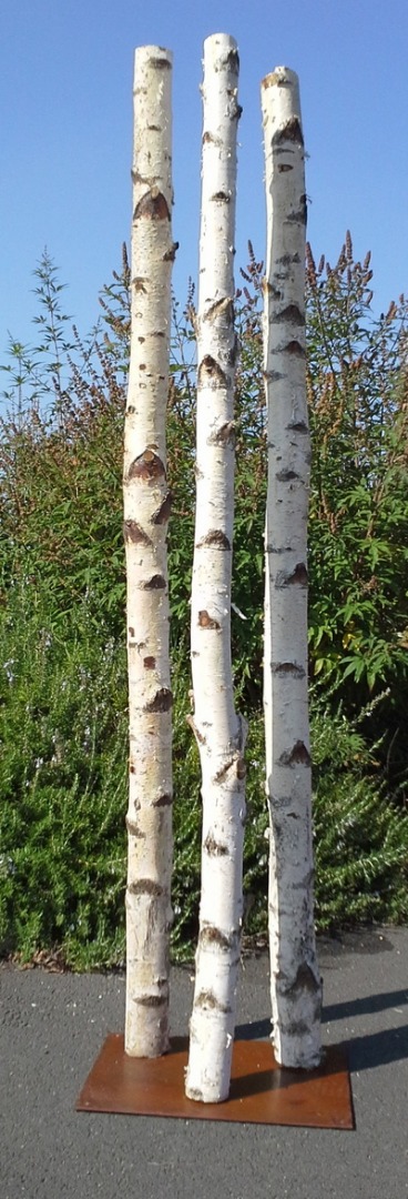 Colonne 3 troncs de bouleaux