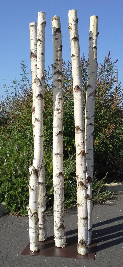 Colonne de 5 troncs de bouleaux de 2m en 10cm de diamètre montés sur socle