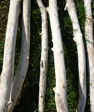 branche de bois flotté de 1m70 à 2m de 5cm à 7cm de diamètre