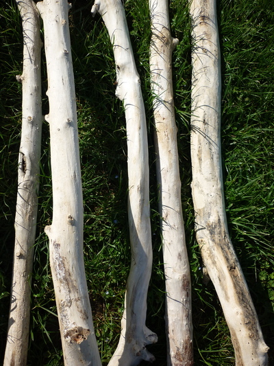 branche de bois flotté de 1m70 à 2m de 10cm à 13cm de diamètre