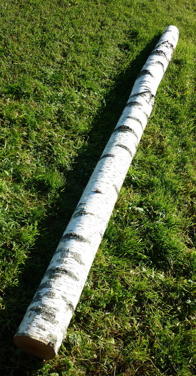 troncs de bouleau de 2m en 20cm de diametre
