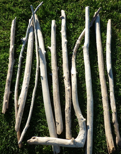 Branche de bois flotté de 90cm à 1m40 de longueur et de 2cm à 5cm de diamètre