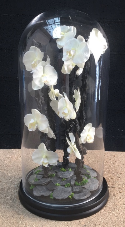 Ikebana: inflorescence de palmier et orchidées