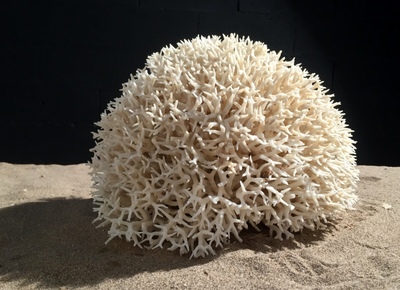 Corail nid 30cm