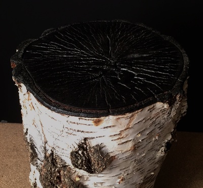 Tabouret en tronc de bouleau et brulé