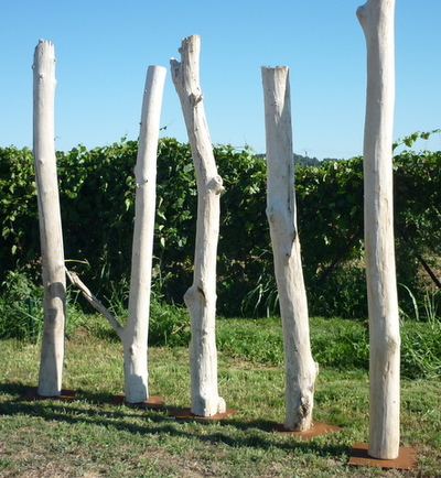 troncs de bois flotté montés sur socle