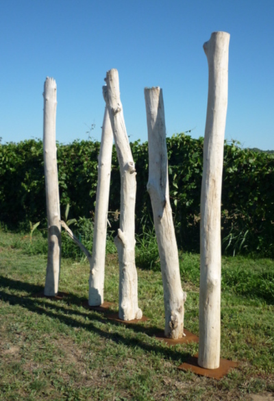troncs de bois flotté montés sur socle