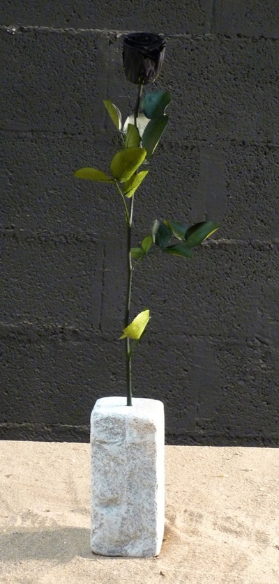 Une rose noire sur colonne en pierre