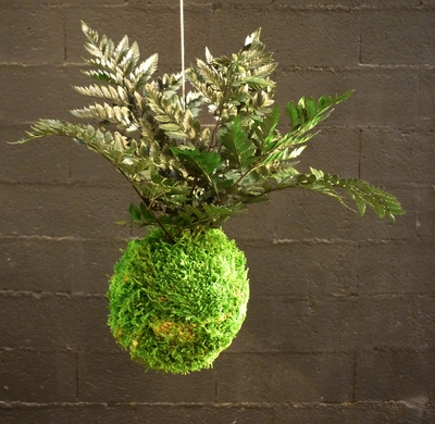 kokedama fougère cuir