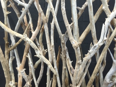 Driftwood branches screen (branches of 5/7cm diameter)