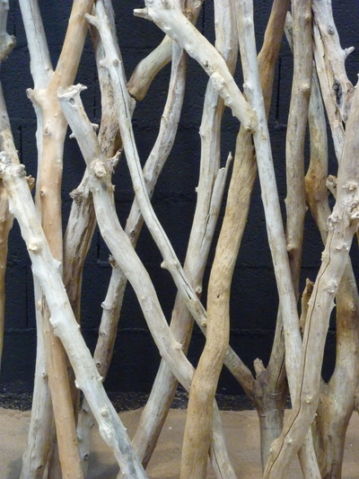 Driftwood branches screen (branches of 5/7cm diameter)