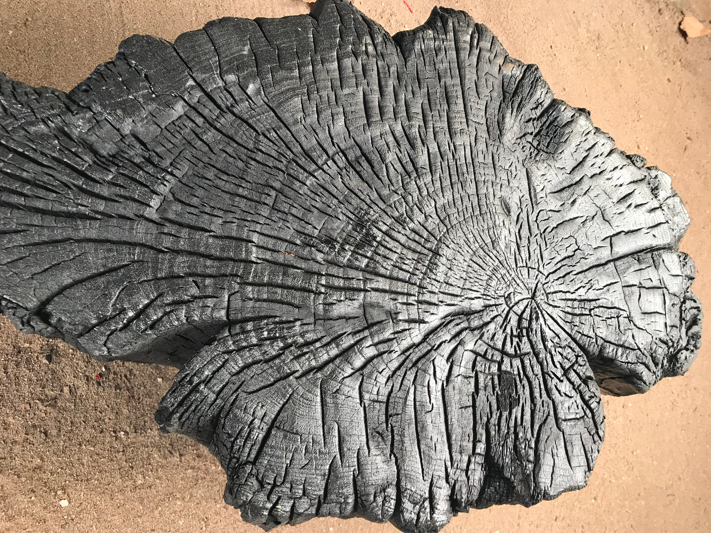 table basse en bois flotté brulé.jpg