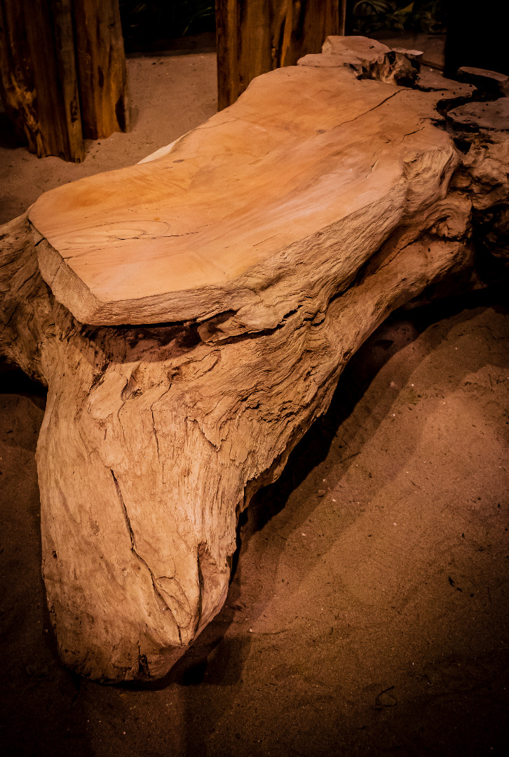 table basse en souche bf 1,1.jpg