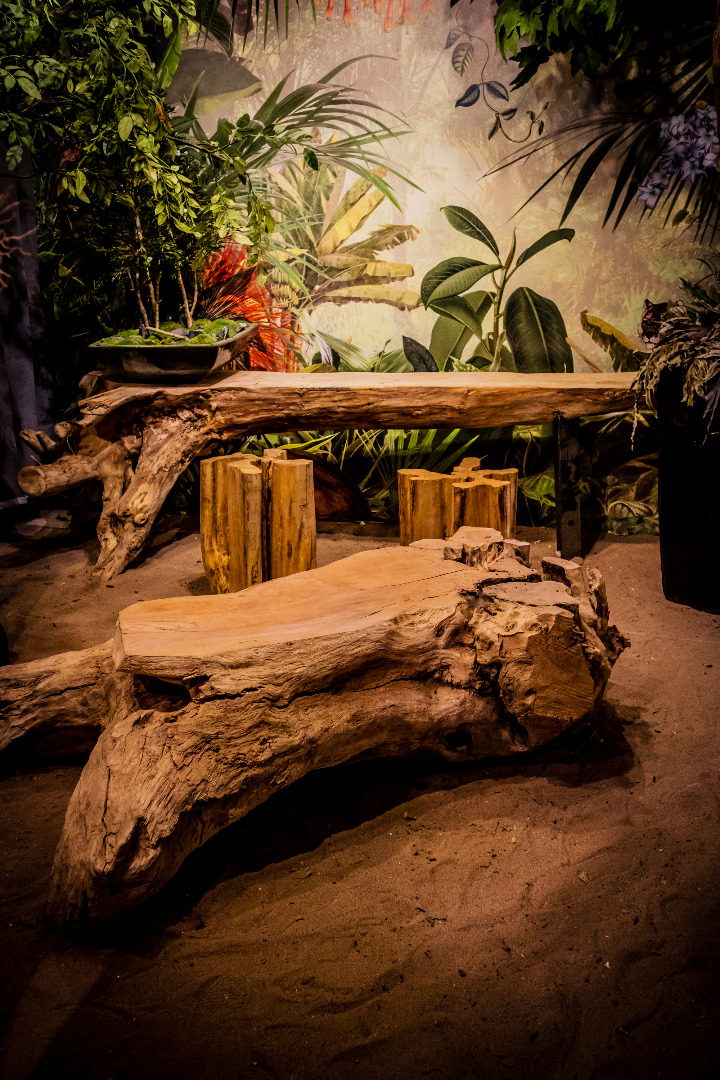 table basse en souche bf 2,1.jpg