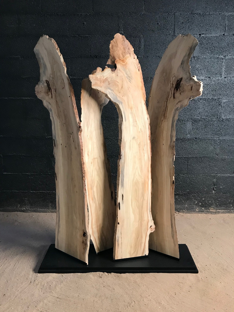 Creation of a screen in driftwood planks