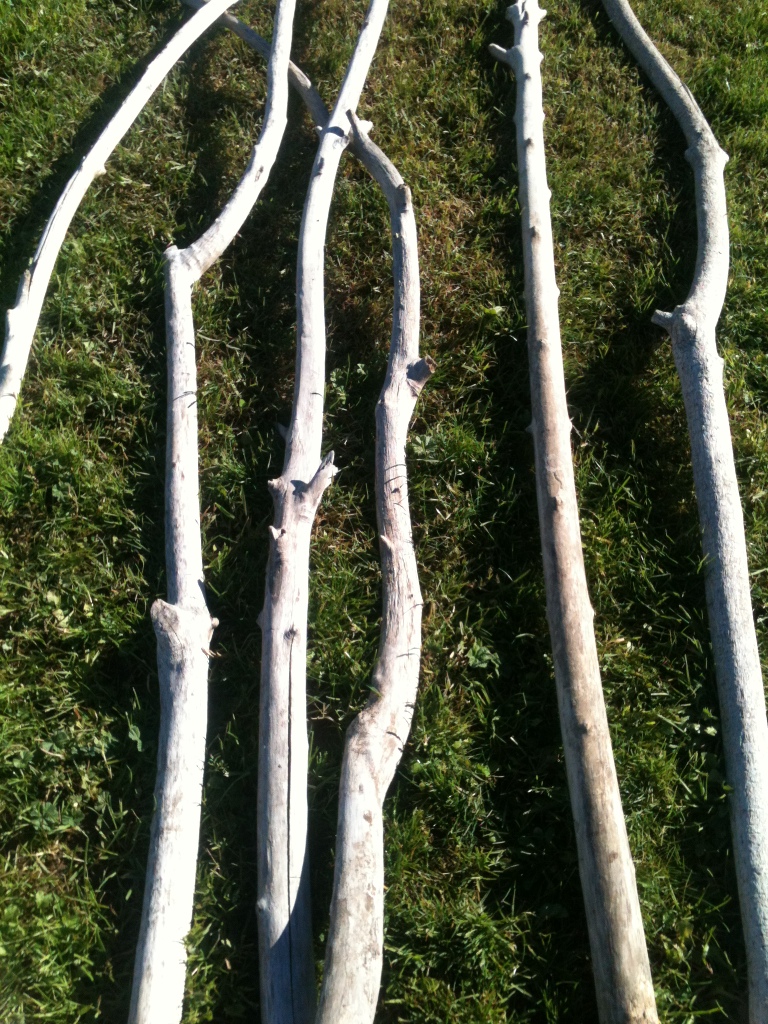 vente de branche en bois flotté - 90 cm