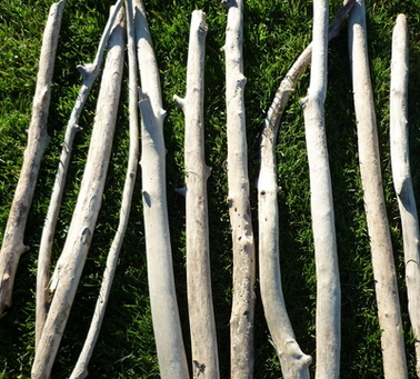 Branche de bois flotté jusqu'à 50cm de 2cm à 5cm de diamètre