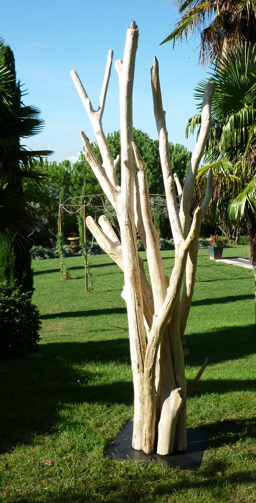 Création de sculpture de branches de bois flotté montées sur socle