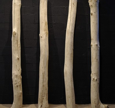 Vente De Demi Troncs De Bois Flotte