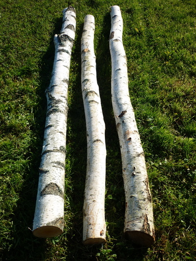 Birchwood trunks 2m long and 15cm diameter